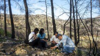 Dünyada sadece Manavgat'ta var!  Antalya orkidesi 10 yıl sonra gün yüzüne çıktı