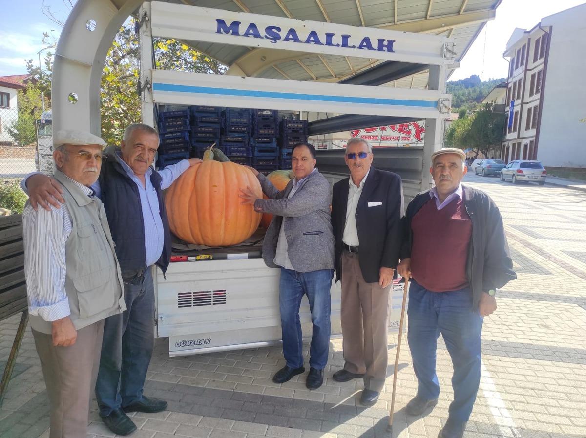 Nallıhan'da yetiştirilen iri kabağı 5 kişi g&uuml;&ccedil;l&uuml;kle taşıdı