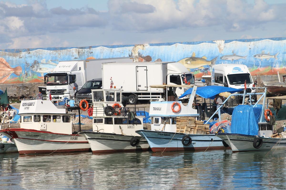 D&uuml;zce'de palamut azlığı tezgahlarda fiyat artışına neden oldu