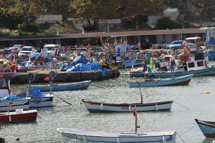 Düzce'de palamut azlığı tezgahlarda fiyat artışına neden oldu G2