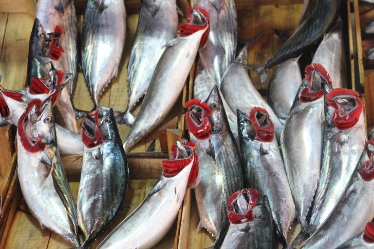 Düzce'de palamut azlığı tezgahlarda fiyat artışına neden oldu G4