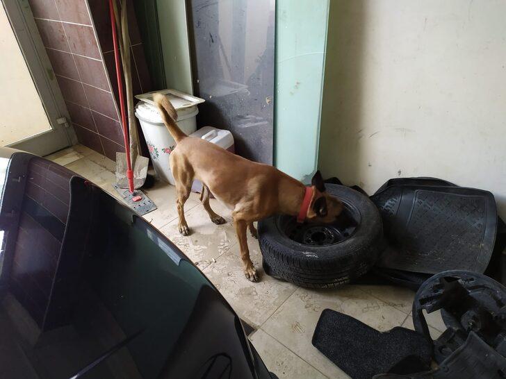 Alanya'da uyuşturucu operasyonunda yakalanan 8 zanlı tutuklandı G3