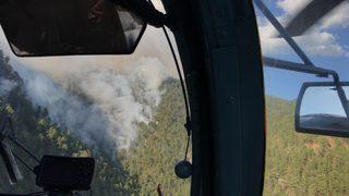 GÜNCELLEME 2 - Adana'da kontrol altına alınan yangın bölgesinde yeniden alevler yükseldi