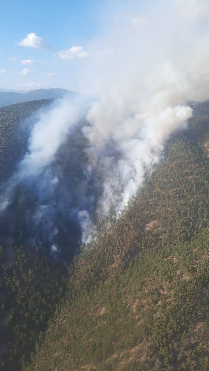 GÜNCELLEME - Adana'da çıkan orman yangını kontrol altına alındı G2