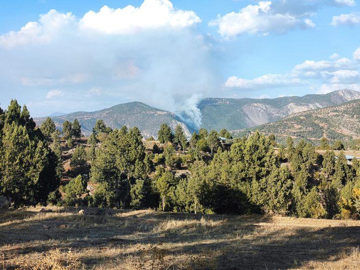 GÜNCELLEME - Adana'da çıkan orman yangını kontrol altına alındı G3