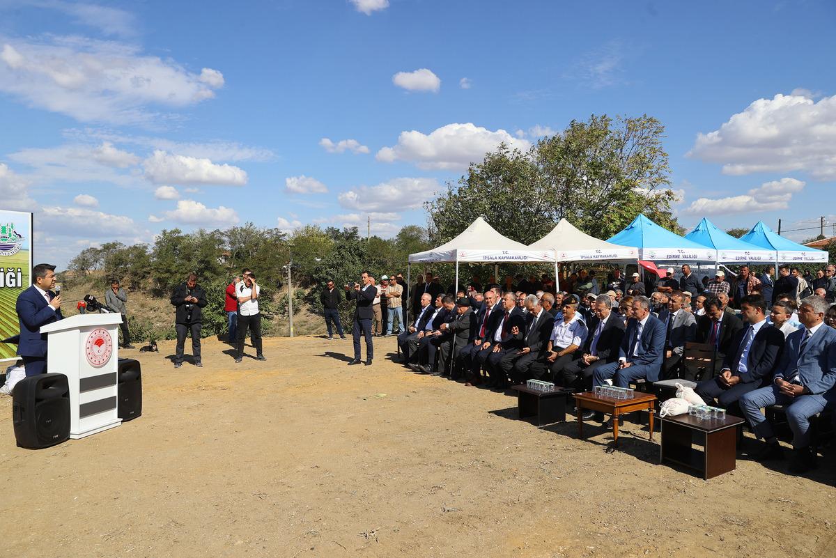 T&uuml;rkiye'nin &ccedil;eltik ambarı İpsala Ovası'nda &ccedil;eltik hasadı etkinliği