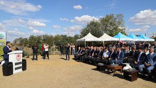 Türkiye'nin çeltik ambarı İpsala Ovası'nda çeltik hasadı etkinliği