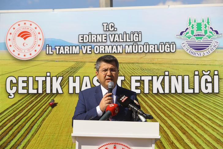 Türkiye'nin çeltik ambarı İpsala Ovası'nda çeltik hasadı etkinliği G2