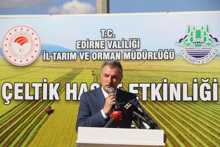 Türkiye'nin çeltik ambarı İpsala Ovası'nda çeltik hasadı etkinliği G3