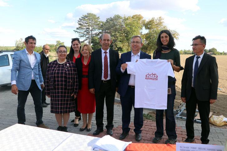 Edirne kırmızısının elde edildiği bitki hasat edildi G5