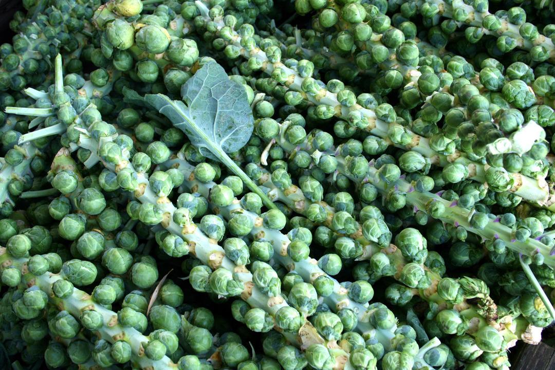 Karaciğerinizin iyiliği i&ccedil;in mutlaka t&uuml;ketin: Hastalıkları &ouml;nler, kansere karşı korur