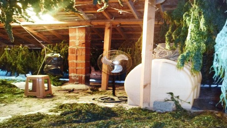 Samsun’da düzenlenen uyuşturucu operasyonunda 4 zanlı gözaltına alındı G3