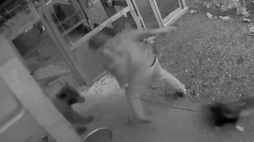 Ailesini korumak için ayı tokatladı! ''Ayıdan değil adamdan korkuyorum''