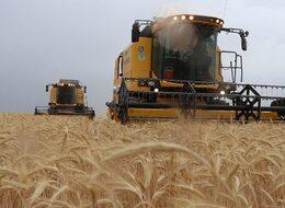 Tarım ÜFE temmuzda aylık bazda yüzde 1,74 azaldı