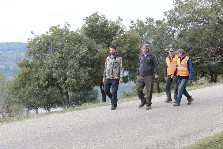 Bolu'daki Gölköy Barajı'nda kıyıya vuran ölü balıklar toplanıyor G1