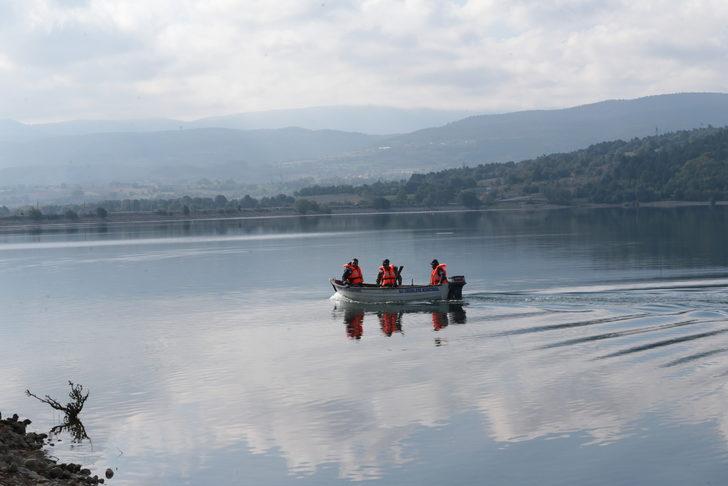 Bolu'daki Gölköy Barajı'nda kıyıya vuran ölü balıklar toplanıyor G3