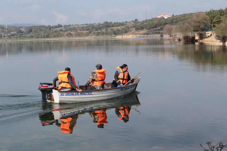 Bolu'daki Gölköy Barajı'nda kıyıya vuran ölü balıklar toplanıyor G4