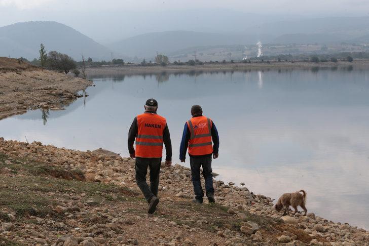 Bolu'daki Gölköy Barajı'nda kıyıya vuran ölü balıklar toplanıyor G5