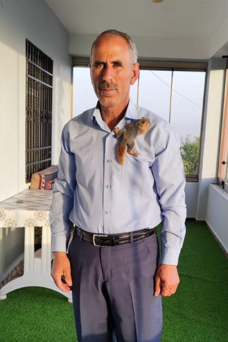 Elazığlı muhtar, sahiplendiği sincap yavrusunu enjektörle besliyor G5