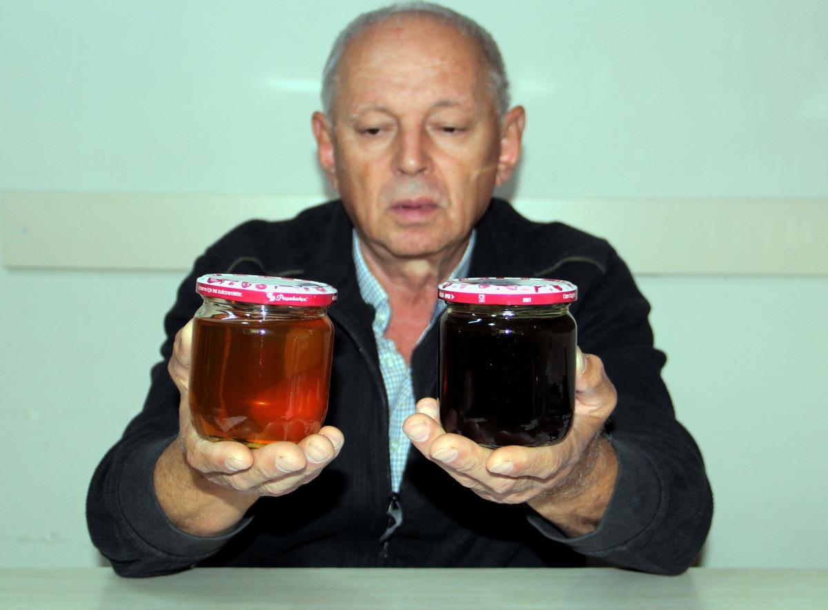 Sinop'ta kestane balı rekoltesi 150 ton oldu