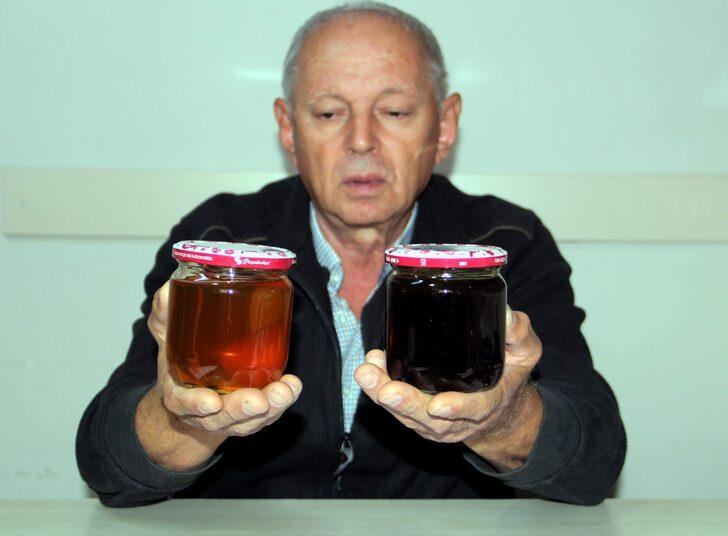 Sinop'ta kestane balı rekoltesi 150 ton oldu G1