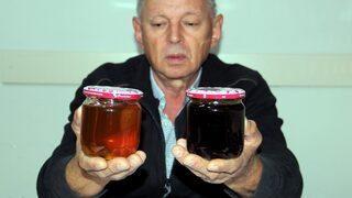 Sinop'ta kestane balı rekoltesi 150 ton oldu