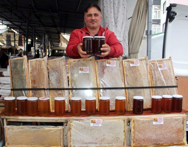 Sinop'ta kestane balı rekoltesi 150 ton oldu G2