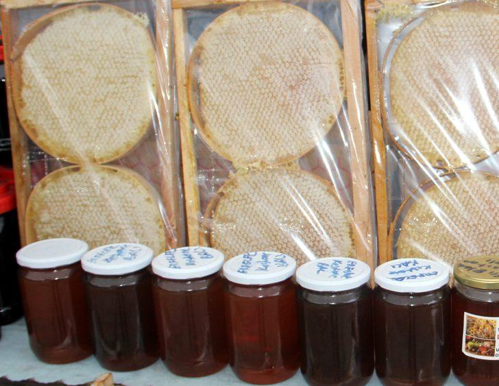 Sinop'ta kestane balı rekoltesi 150 ton oldu G3