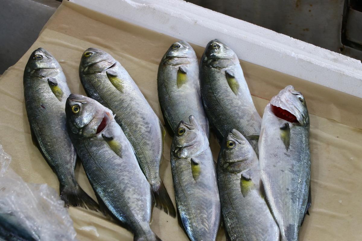 Tekirdağ'da l&uuml;fer tezgahlarda yerine almaya başladı