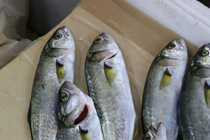 Tekirdağ'da lüfer tezgahlarda yerine almaya başladı G3
