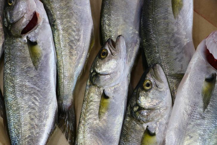 Tekirdağ'da lüfer tezgahlarda yerine almaya başladı G4