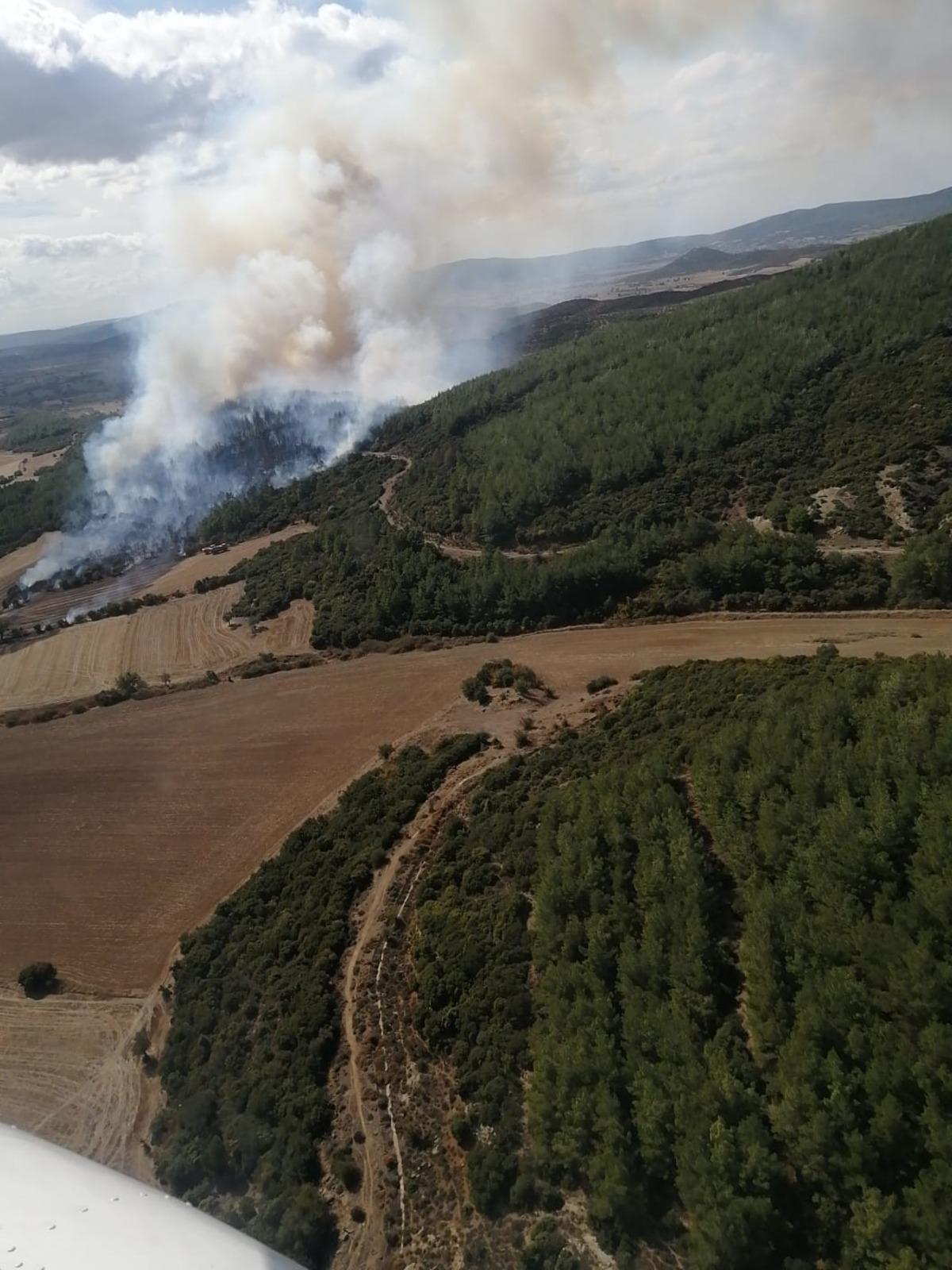 &Ccedil;anakkale'de &ccedil;ıkan orman yangınına m&uuml;dahale ediliyor