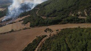 Çanakkale'de çıkan orman yangınına müdahale ediliyor