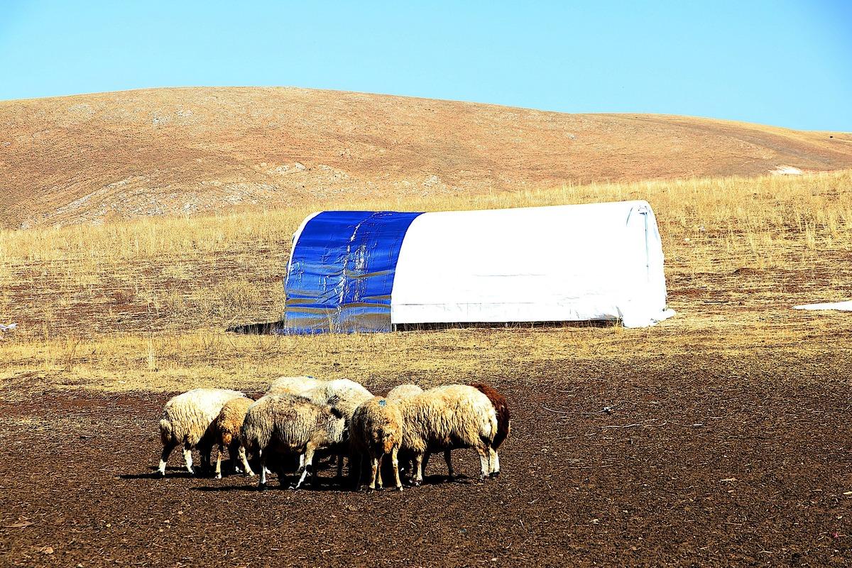 Bayburt'ta fırtınada &ccedil;adırı kullanılamaz hale gelen besicilere vali yardım etti