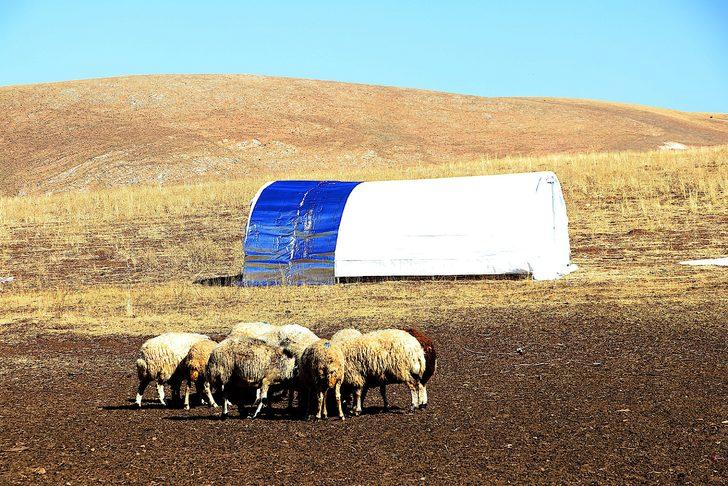 Bayburt'ta fırtınada çadırı kullanılamaz hale gelen besicilere vali yardım etti G1
