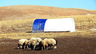 Bayburt'ta fırtınada çadırı kullanılamaz hale gelen besicilere vali yardım etti