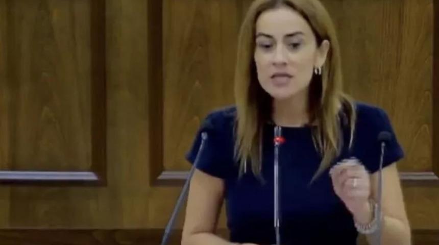KKTC Meclisi'nde Türkiye ve Cumhurbaşkanı Erdoğan'ı hedef almıştı! AK Parti'den sert tepki geldi: 'Yunan ve Rum tezleri ile PKK'nın açıklamalarının sentezi'