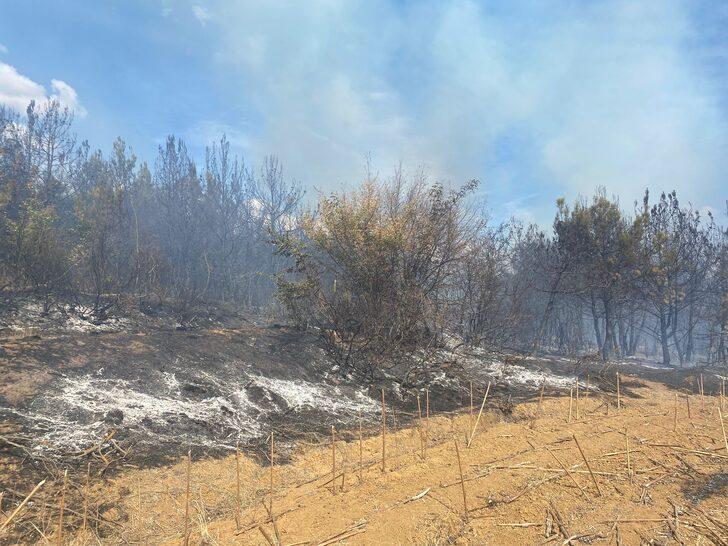 Tekirdağ'da çıkan orman yangını söndürüldü G2