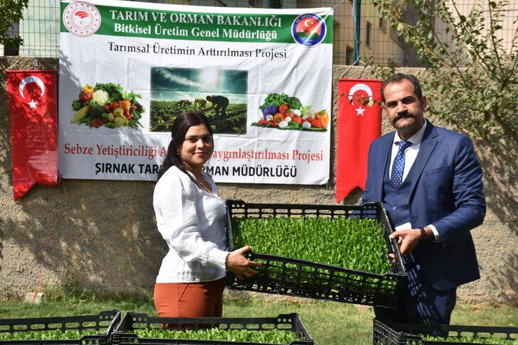 Şırnak'ta üreticilere tohum ve fide desteği G5