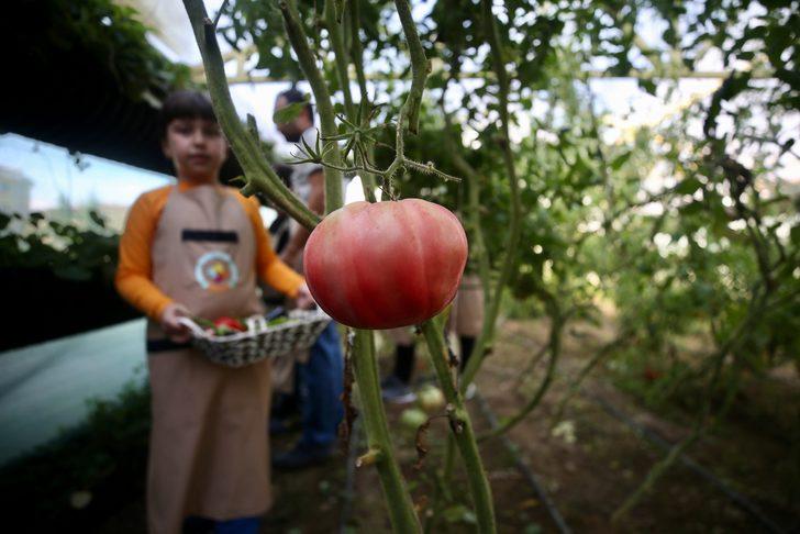 Otizmli çocuklara toprak sevgisi aşılayan proje, TÜBİTAK'tan destek aldı G2