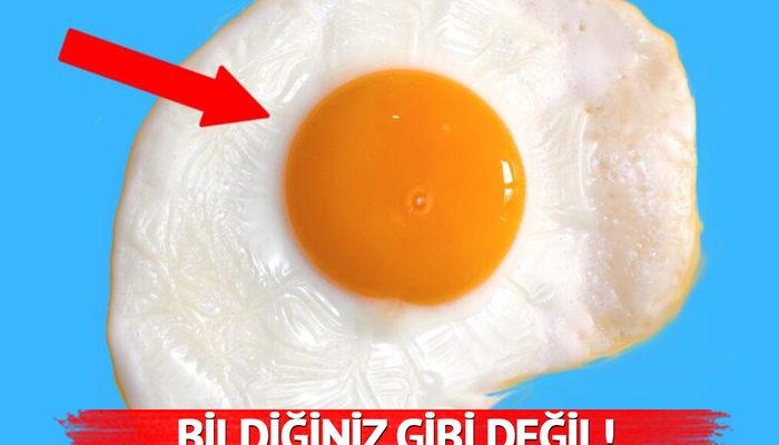 Her gün yumurta yerseniz ne olur? Bildiğiniz gibi değil