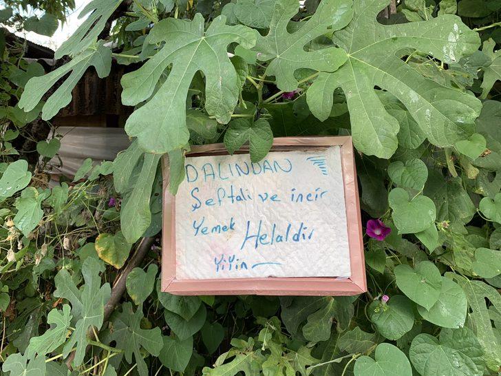 Yol kenarındaki bahçesinde meyve ağaçlarına "Helaldir, yiyin" diye yazı astı G2