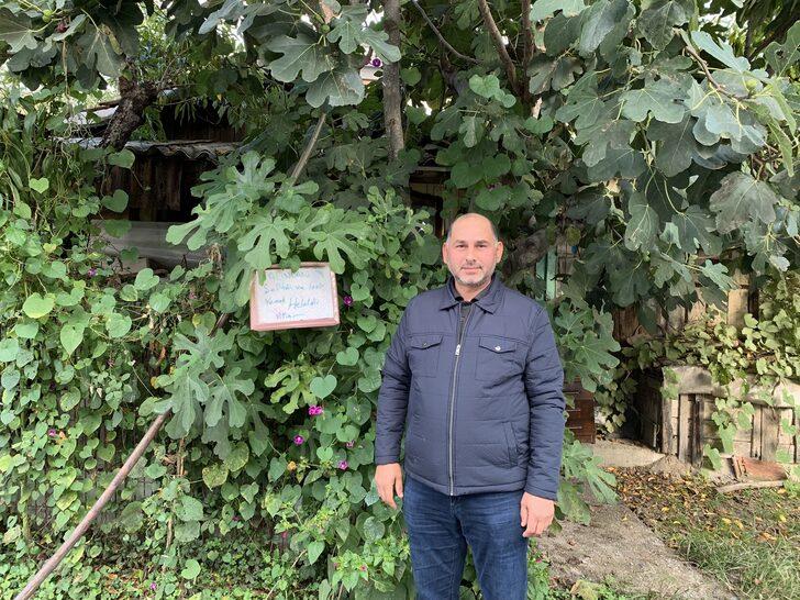 Yol kenarındaki bahçesinde meyve ağaçlarına "Helaldir, yiyin" diye yazı astı G3