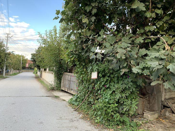 Yol kenarındaki bahçesinde meyve ağaçlarına "Helaldir, yiyin" diye yazı astı G4