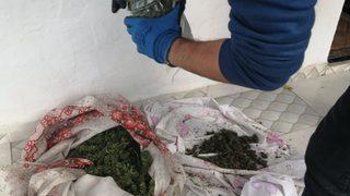 Sakarya'da uyuşturucu operasyonunda 11 kilogram esrar ele geçirildi