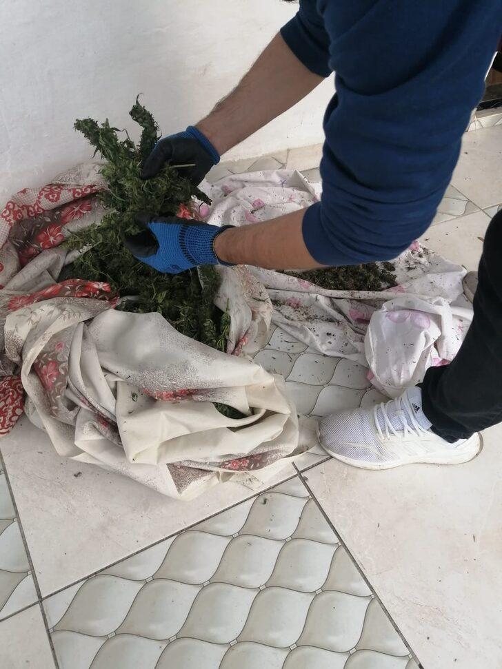 Sakarya'da uyuşturucu operasyonunda 11 kilogram esrar ele geçirildi G2