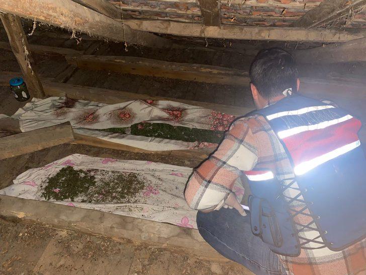 Sakarya'da uyuşturucu operasyonunda 11 kilogram esrar ele geçirildi G3