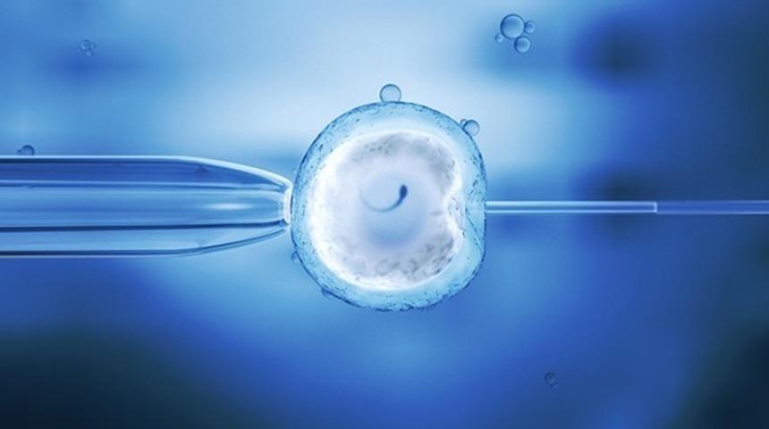 Tüp bebek tedavisi aşamaları