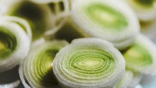 İdrar yolu iltihabını anında kurutur, afrozdizyak etkisi vardır, toksinleri vücuttan hemen atar! Pırasa suyunun faydaları nedir, pırasa suyu nasıl yapılır? İlaç gibi tarif