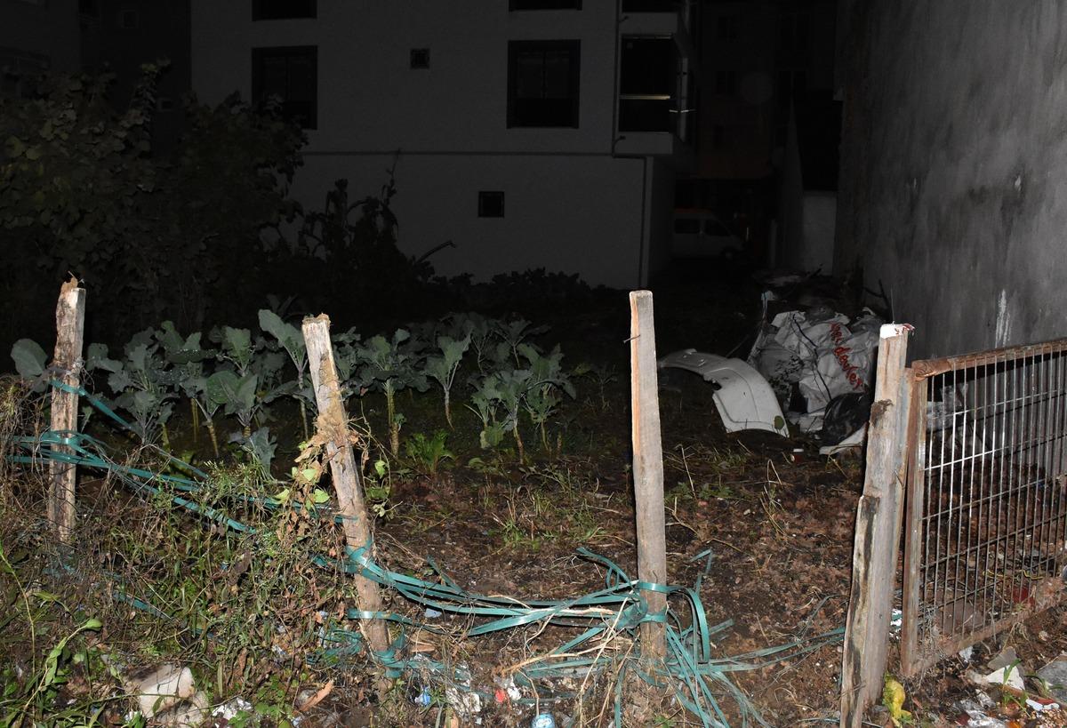 Ordu'da tarlada toprağa g&ouml;m&uuml;l&uuml; bebek cesedi bulundu